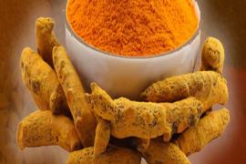 Turmeric is rich in anti-septic, anti-biotic properties, co-professor of Ayurvedic College, Dr.  Sanjay Shukla, Khabargali