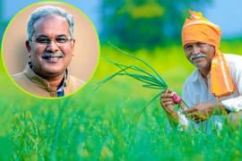 Paddy purchase, support price tur, moong urad, Chhattisgarh government, Chief Minister Bhupesh Baghel's big decision, Khabargali