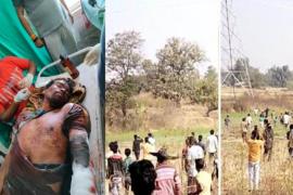 2 dead, 1 serious due to tiger attack in Ambikapur Odgi, Surajpur district, Kudargarh Festival, Chhattisgarh, News, khabargali