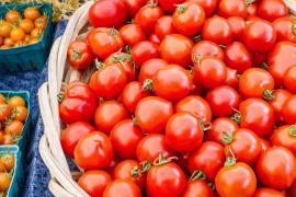 Central government decides to sell tomatoes at Rs 80 per kg,khabargali