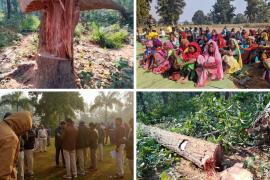 BJP state spokesperson and Raipur division in-charge former MLA Saurabh Singh, State Congress President Deepak Baij's allegations, killing of trees in Hasdev Bago and converting forests into cleared grounds, then Chief Minister Bhupesh Baghel and then Deputy Chief Minister TS Singhdev Chhattisgarh, Khabargali.