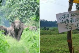 Chhattisgarh, natural richness, civilian labour, natural resources like iron, coal, diamonds and diversity of wildlife, deforestation of Hasdev forest and problems arising from coal mines resulting in labor becoming tribals, Khabargali