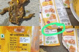Eklavya Residential School Ramanujganj, dead frog, pickle box found in mid day meal, Chhattisgarh, Khabargali