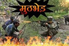 Big action by police against Naxalites.. 6 rewarded hardcore Naxalites including the commander killed, a huge cache of ammunition recovered from the spot, Naxalites of this platoon were involved in the murder of three civilians near Basaguda, Polampalli area of ​​Naxal-affected Basaguda police station area, Chhattisgarh, Khabargali