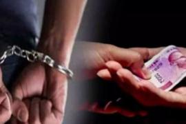   Two bribe taking Patwaris caught red handed, demanded money from the farmer for improving the documents...  latestnews hindinews bignews khabargali   
