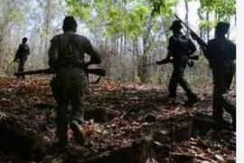  Encounter between security personnel and Naxalites, 8 Naxalites killed...  naxal attack bignews  latestnews  cgnews  narayanpurnews  cg news   khabargali 