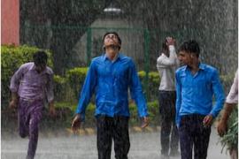 प्रदेश में आज फिर से सक्रिय होगा मानसून   , इन जिलों के लिए अलर्ट जारी... Monsoon will be active again in the state today   Alert issued for these districts... cg news latest news khabar 