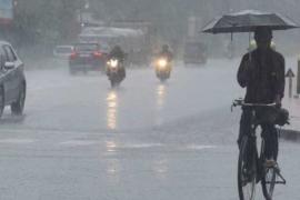 Possibility of heavy rain in these districts of the state, Meteorological Department has issued yellow alert... latest news cg big news latest news khabargali 