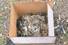 New revelations in liquor scam every day, five boxes of burnt fake holograms seized, Chhattisgarh, Khabargali