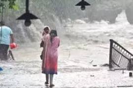 Schools and Anganwadis closed in many districts of the state, alert of heavy rain even today latestnews hindinews  bignews  latestnews  khabargali 
