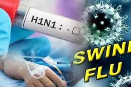 25 active patients of swine flu in the state, health department on alert...  swain flu raipurnews cg bignews hindi news latestnews khabargali 