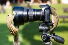 Today is World Photography Day, exhibition will be held in Art Gallery of Raipur...  cg news hindinews latest news khabargali 