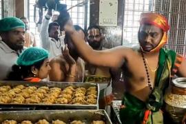 Maha Shanti Homa was conducted in Tirupati, Prasad kitchen was purified with cow urine, news of animal fat being mixed in Tirupati temple's laddu, Khabargali