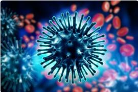 Swaine flu in CG: Swine flu out of control in the state, patient admitted in hospital for 36 days dies  cgnews 