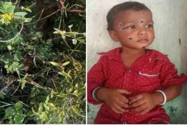 3 year old innocent murdered brutally, dead body found in bushes… cg big news hindi news CG big news khabargali 