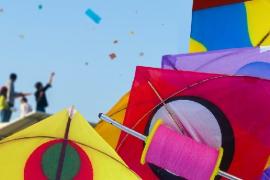 Kite Carnival 2025 organised by Suhini Soch on the occasion of Makar Sankranti, Raipur, Chhattisgarh, KhabarGali