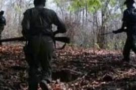31 Naxalites killed in encounter, two soldiers martyred, bodies of 12 Naxalites recovered, Bijapur, Khabargali, more than 1000 soldiers killed 31 Naxalites in an encounter on Sunday in Indravati National Park on Chhattisgarh-Maharashtra border