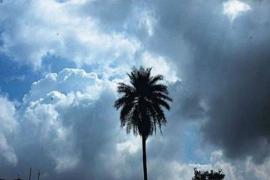 Chhattisgarh to experience cloud cover for next 7 days, temperature to reach 24 degrees hindi News latest news khabargli 