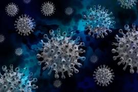 First corona patient found in Raipur, more than 257 active cases across the country cg news hindi news big News khabargali 