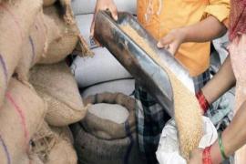 Rice for three months will be available in bulk from June 1, there will be relief from crowd in ration shops hindi news latest news big news khabargali 