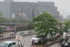 It will rain in the state including Raipur from tomorrow, monsoon will advance, there will be relief from heat latest news hindi news Big news khabargali 