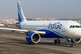 Indigo flight gate got locked in Raipur airport, former CM and mayor were stuck for 40 minutes Latest News hindi News Raipur news cg big news khabargali 