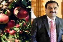 Adani's initiative benefits farmers, 12.5% ​​higher price offered, Adani Agri Fresh Limited has furthered its commitment towards the farmers of the state and has announced better rates for apple purchase this year as well, Khabargali