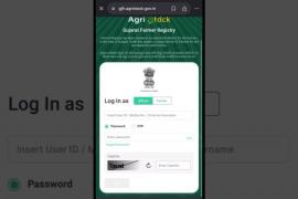 The date of registration in Agristack portal for paddy purchase has been extended, farmers can now register till this date Chhattisgarh hindi News big News khabargali 