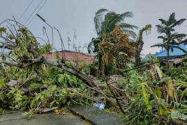 Typhoon wreaks havoc in Vietnam, death toll rises to 11; 33 injured and 13 missing Hindi news big News latest news khabargali 