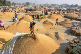 Government strict on paddy procurement, FIR against 4 officials for refusing to work, hints of arrest, Chhattisgarh, Khabargali