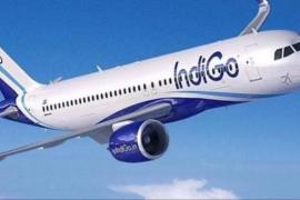 Raipur-bound IndiGo flight develops snag, diverted to Bhubaneswar due to technical issue hindi News latest News big News khabargali 