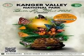  पुणे-बेंगलूरु हाईवे में दर्दनाक हैड्स, बेकाबू ट्रक कई वाहनों से भिड़ा, 7 जलकर मरे खबरगली Tragic accident on Pune-Bengaluru highway, out-of-control truck collides with several vehicles, 7 burnt to deathhindi news big news khabargali 