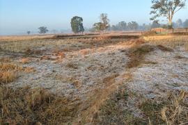 छत्तीसगढ़ में ठंड का कहर जारी, सबसे ज़्यादा शीतलहर की चपेट में अंबिकापुर खबरगली Cold wave continues to wreak havoc in Chhattisgarh, Ambikapur worst affected Raipur chhattisgarh hindi news khabargali 