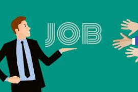 Unemployed youth have a golden opportunity to get a job, placement camps will be organised in these districts today.