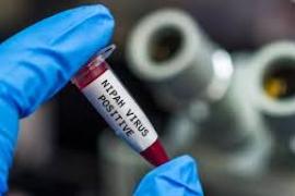 भारत में Nipah Virus अलर्ट, पश्चिम बंगाल में नर्स की मौत से हड़कंप, देशभर में अलर्ट और सख्त निगरानी खबरगली Nipah virus alert in India, death of nurse in West Bengal causes panic, nationwide alert and strict monitoring hindi news latest news khabargali 