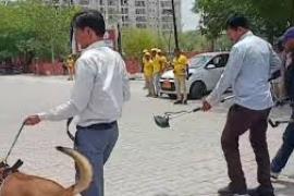  Bomb threat emails to three schools amid CBSE exams new delhi hindi news khabargali 