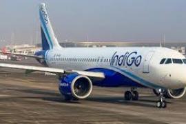 180-seater flight service starts from Raipur to Jaipur, tickets will be available for just this much rupees Raipur chhattisgarh hindi news khabargali 