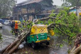 Storm and lightning wreak havoc, 7 dead, government announces compensation kolkata news big News khabargali 