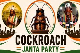 'Secular, Socialist, Democratic, Lazy': 'Cockroach Janata Party' dominates social media; learn about this new youth trend