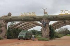  Visiting Nandanvan Zoo and Jungle Safari has become more expensive for tourists, with ticket prices increasing. raipur chhattisgarh hindi news khabargali 