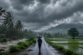 Monsoon arrives in Chhattisgarh; heavy rain and storms bring relief from the heat; Meteorological Department issues a warning. Latest News raipur news khabargali 
