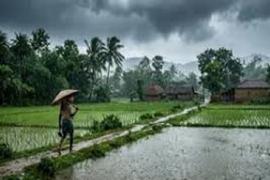  Rain alert for Chhattisgarh from July 1; Meteorological Department forecasts rainfall. raipur chhattisgarh hindi news khabargali 