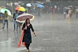 Heavy rain alert for Chhattisgarh for the next 24 hours; 'Orange' warning issued for several districts, including Raipur; lightning strikes also expected. latest News hindi news khabargali 