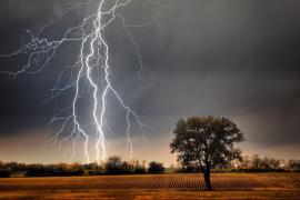 Lightning strikes: 3 dead, 5 injured. Latest news hindi news big news khabargali 