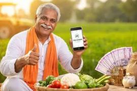  Major relief for farmers: Deadline for crop insurance extended to August 14 raipur cg news khabargali 
