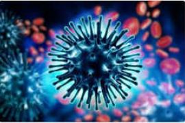  Two new swine flu cases detected in Durg; Health Department on alert. chhattisgarh news hindi news khabargali 