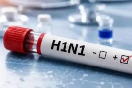 Swine flu outbreak intensifies in Chhattisgarh; over 80 patients reported in 3 days, with more than 50 active cases in Raipur. Hindi news latest news khabargali 