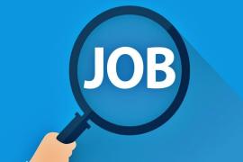 Placement camp to be held on September 16 on-the-spot jobs available for these positions Latest news hindi news big News khabargali 