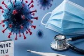 Swine flu threat in Chhattisgarh: 24 new cases in a single day; tally crosses 108 raipur hindi news khabargali 
