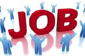 There will be recruitment for 1360 posts in the Cooperative Department, most posts in Raipur-Bilaspur. raipur hindi news khabargali 